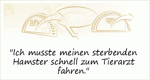 Ich musste meinen sterbenden Hamster schnell zum Tierarzt fahren. Ich musste meinen sterbenden Hamster schnell zum Tierarzt fahren.