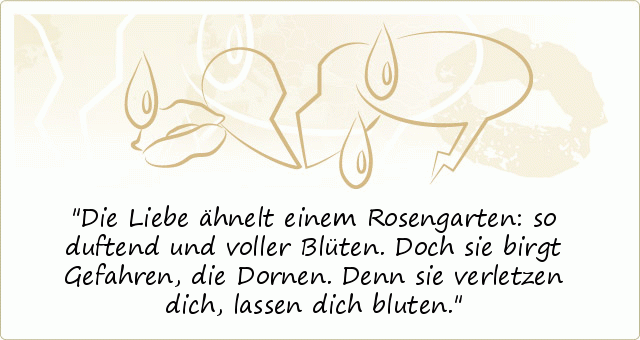 Die Liebe ähnelt einem Rosengarten: so duftend und voller Blüten. Doch sie birgt Gefahren, die Dornen. Denn sie verletzen dich, lassen dich bluten. Die Liebe ähnelt einem Rosengarten: so duftend und voller Blüten. Doch sie birgt Gefahren, die Dornen. Denn sie verletzen dich, lassen dich bluten.