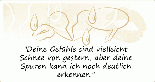 Deine Gefühle sind vielleicht Schnee von gestern, aber deine Spuren kann ich noch deutlich erkennen. Deine Gefühle sind vielleicht Schnee von gestern, aber deine Spuren kann ich noch deutlich erkennen.