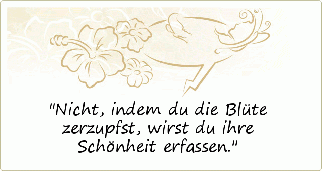 Nicht, indem du die Blüte zerzupfst, wirst du ihre Schönheit erfassen. Nicht, indem du die Blüte zerzupfst, wirst du ihre Schönheit erfassen.