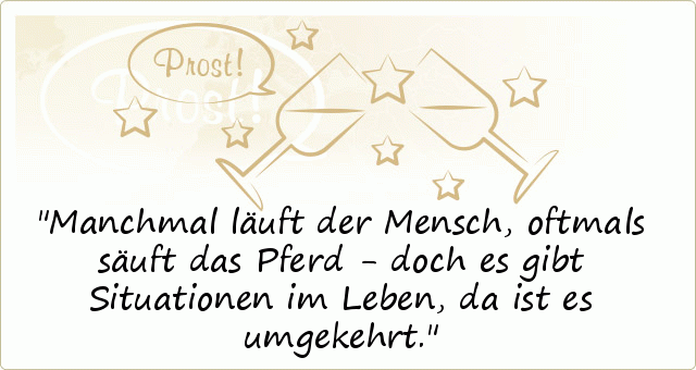 Manchmal läuft der Mensch, oftmals säuft das Pferd - doch es gibt Situationen im Leben, da ist es umgekehrt. Manchmal läuft der Mensch, oftmals säuft das Pferd - doch es gibt Situationen im Leben, da ist es umgekehrt.