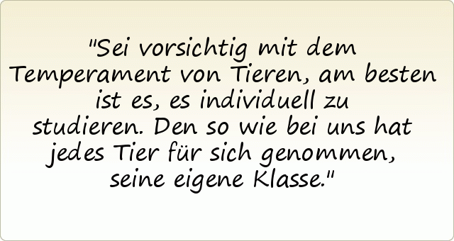 Sei vorsichtig mit dem Temperament von Tieren,
am besten ist es, es individuell zu studieren.
Den so wie bei uns hat jedes Tier für sich genommen, seine eigene Klasse. Sei vorsichtig mit dem Temperament von Tieren,
am besten ist es, es individuell zu studieren.
Den so wie bei uns hat jedes Tier für sich genommen, seine eigene Klasse.