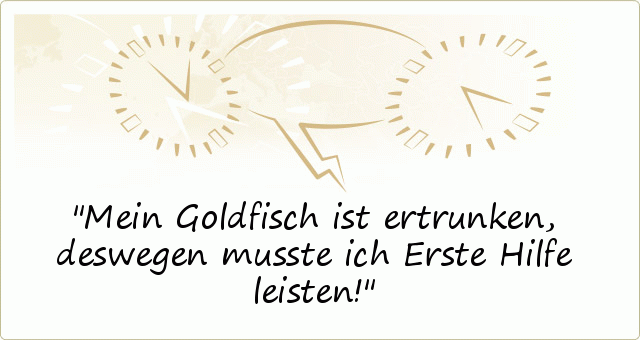 Mein Goldfisch ist ertrunken, deswegen musste ich Erste Hilfe leisten! Mein Goldfisch ist ertrunken, deswegen musste ich Erste Hilfe leisten!