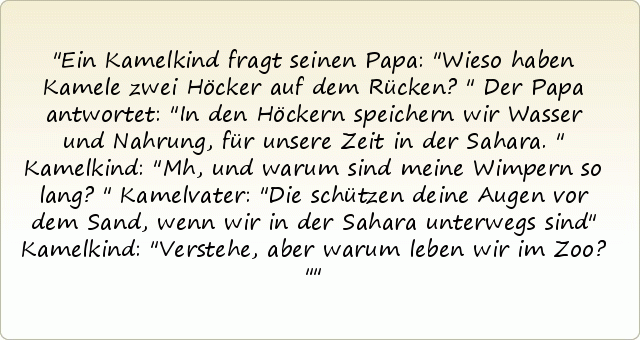 Ein Kamelkind fragt seinen Papa: "Wieso haben Kamele zwei Höcker auf dem Rücken?"
Der Papa antwortet: "In den Höckern speichern wir Wasser und Nahrung, für unsere Zeit in der Sahara."
Kamelkind: "Mh, und warum sind meine Wimpern so lang?"
Kamelvater: "Die schützen deine Augen vor dem Sand, wenn wir in der Sahara unterwegs sind"
Kamelkind: "Verstehe, aber warum leben wir im Zoo?" Ein Kamelkind fragt seinen Papa: "Wieso haben Kamele zwei Höcker auf dem Rücken?"
Der Papa antwortet: "In den Höckern speichern wir Wasser und Nahrung, für unsere Zeit in der Sahara."
Kamelkind: "Mh, und warum sind meine Wimpern so lang?"
Kamelvater: "Die schützen deine Augen vor dem Sand, wenn wir in der Sahara unterwegs sind"
Kamelkind: "Verstehe, aber warum leben wir im Zoo?"