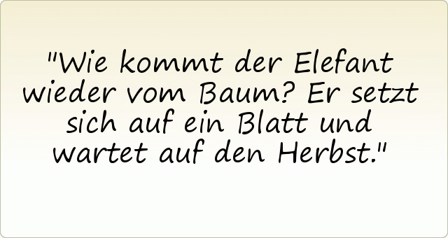 Wie kommt der Elefant wieder vom Baum? Er setzt sich auf ein Blatt und wartet auf den Herbst. Wie kommt der Elefant wieder vom Baum? Er setzt sich auf ein Blatt und wartet auf den Herbst.