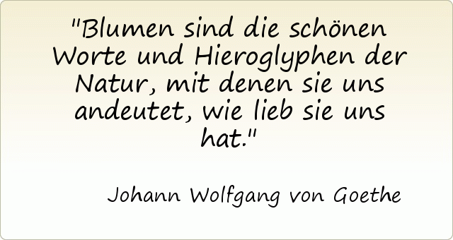 Blumen sind die schönen Worte und Hieroglyphen der Natur, mit denen sie uns andeutet, wie lieb sie uns hat. Blumen sind die schönen Worte und Hieroglyphen der Natur, mit denen sie uns andeutet, wie lieb sie uns hat.