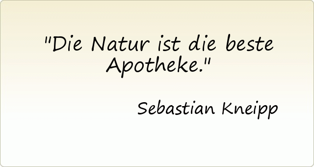 Image Result For Lateinische Zitate Bildung Image Result For Lateinische Zitate Bildung