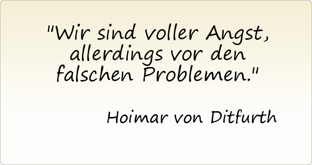 Wir sind voller Angst, allerdings vor den falschen Problemen. Wir sind voller Angst, allerdings vor den falschen Problemen.