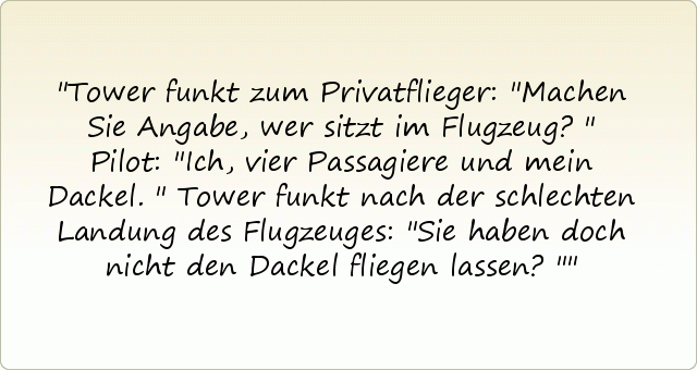 Pilotenwitze einer von 7 Witzen